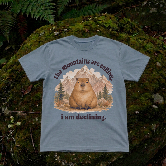 the mountains are calling. i am declining.