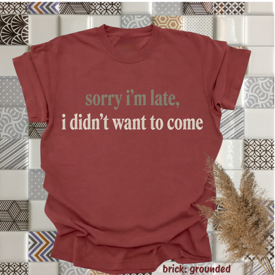 sorry i'm late, i didn't want to come
