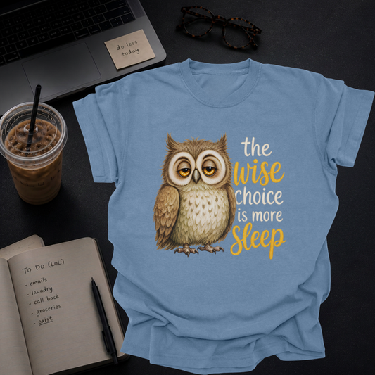 the wise choice is more sleep.
