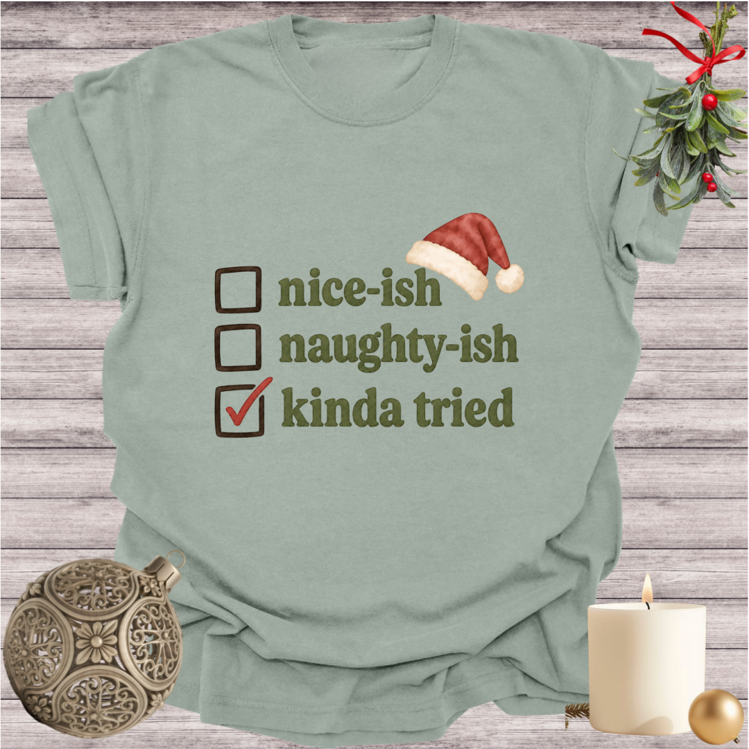 Bay garment-dyed Comfort Colors tee reading "nice-ish, naughty-ish, kinda tried", Soft Rebellion