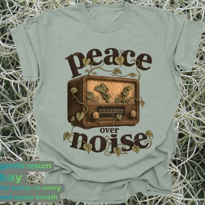 peace over noise