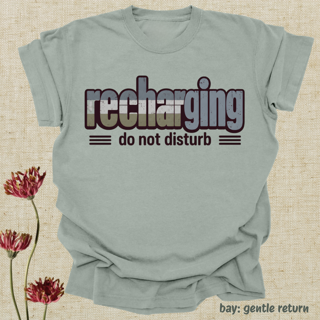 recharging, do not disturb.