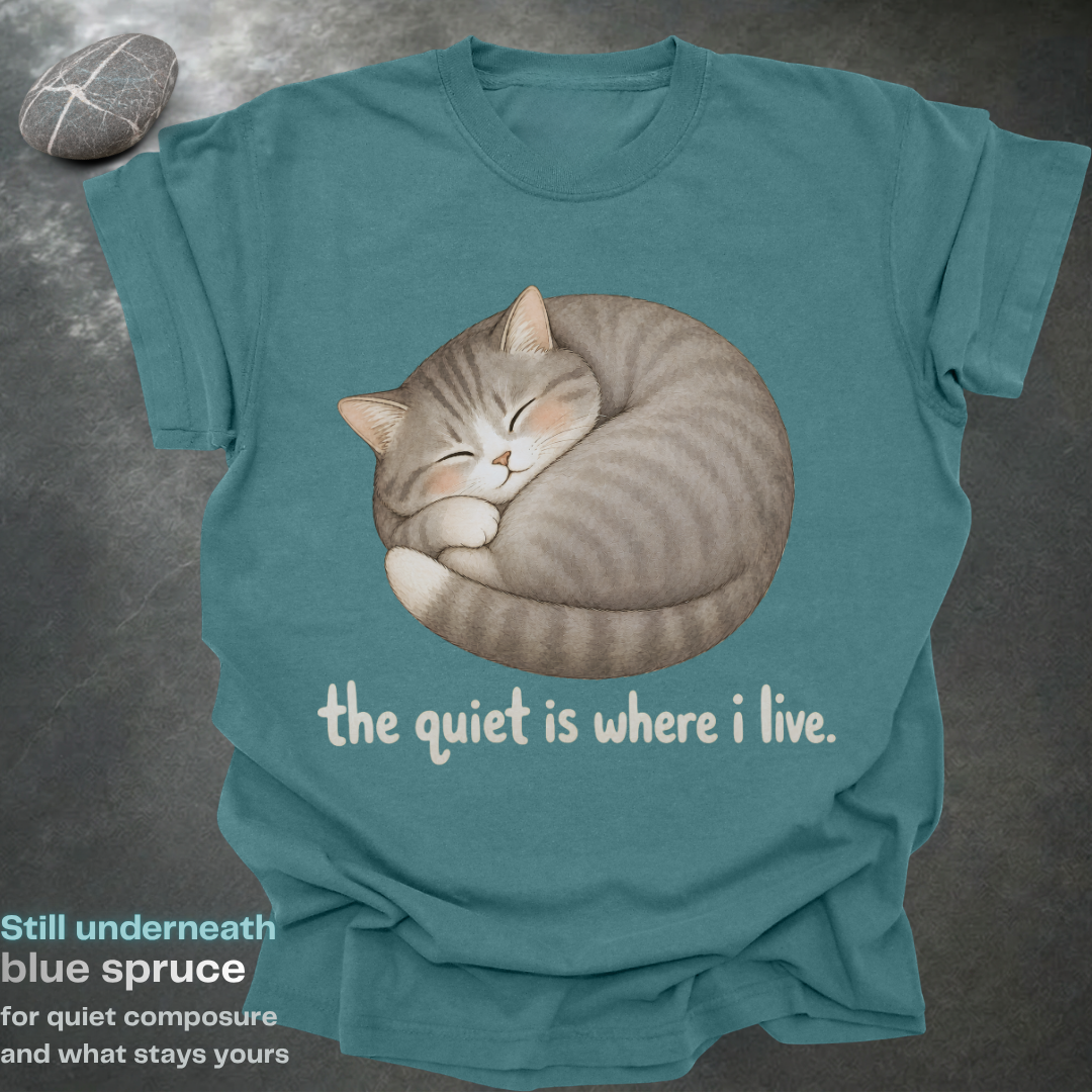 the quiet is where i live.
