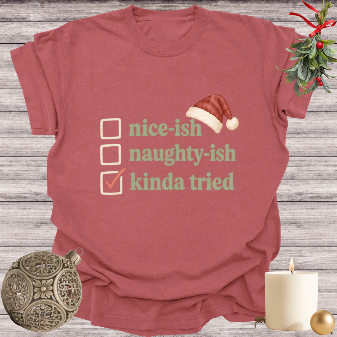 Brick garment-dyed Comfort Colors tee reading "nice-ish, naughty-ish, kinda tried", Soft Rebellion