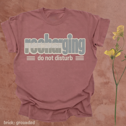 recharging, do not disturb.