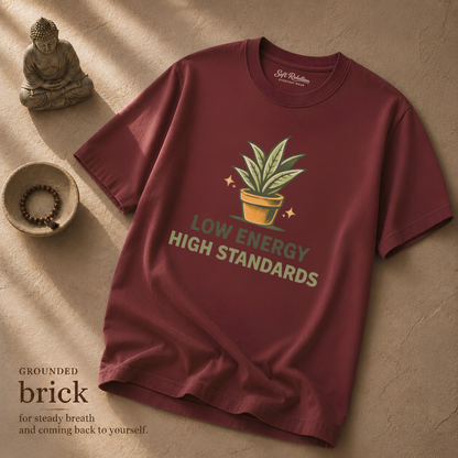 Brick garment-dyed Comfort Colors tee reading "Low Energy High Standards", Soft Rebellion