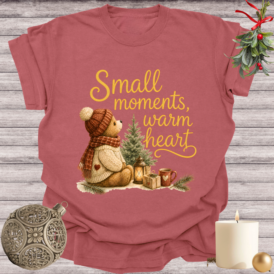 Brick garment-dyed Comfort Colors tee reading "small moments, warm heart", Soft Rebellion
