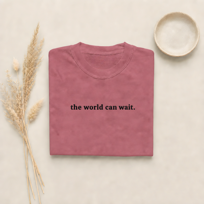 Brick garment-dyed Comfort Colors tee with "the world can wait" embroidered on the chest, Soft Rebellion