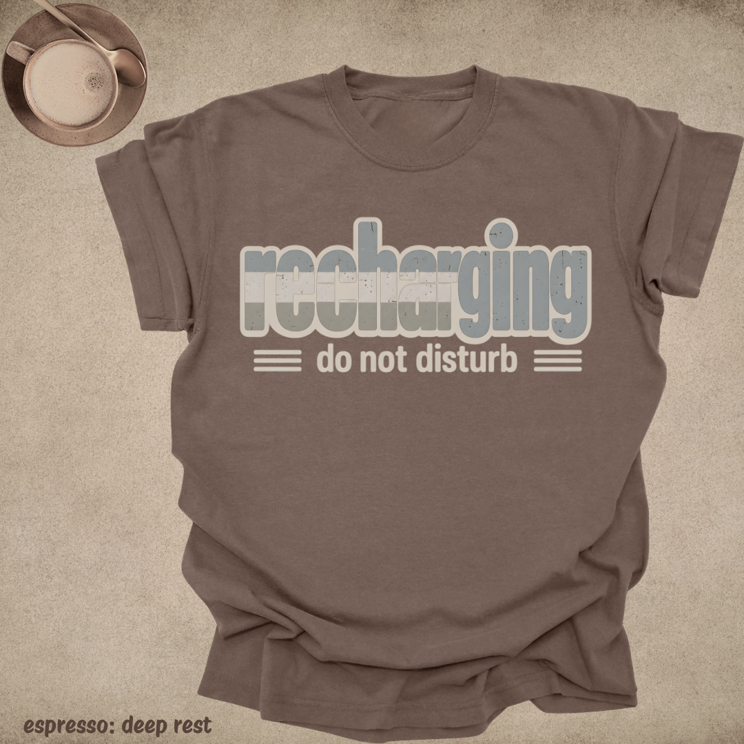 recharging, do not disturb.