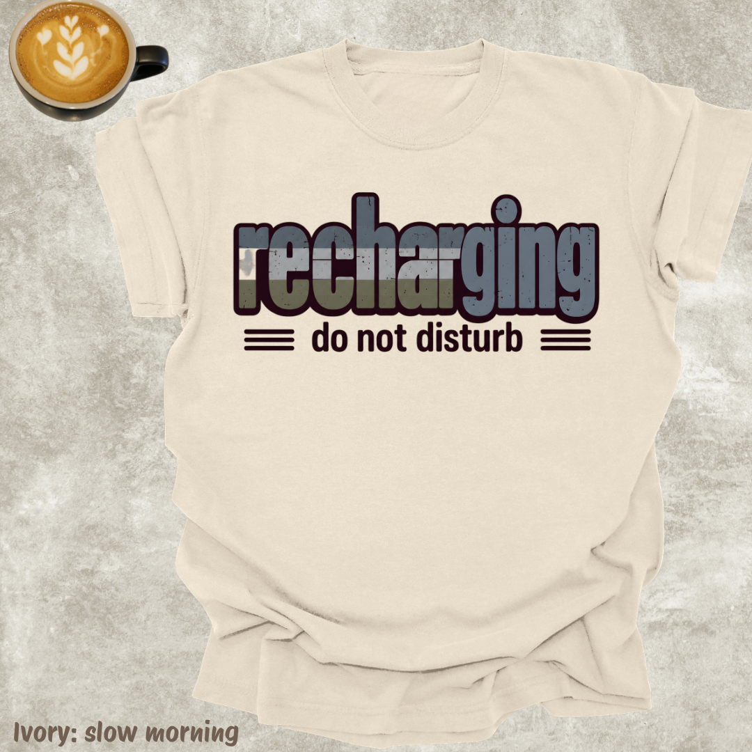 recharging, do not disturb.