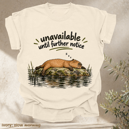 unavailable until further notice.