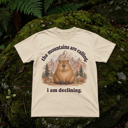 the mountains are calling. i am declining.