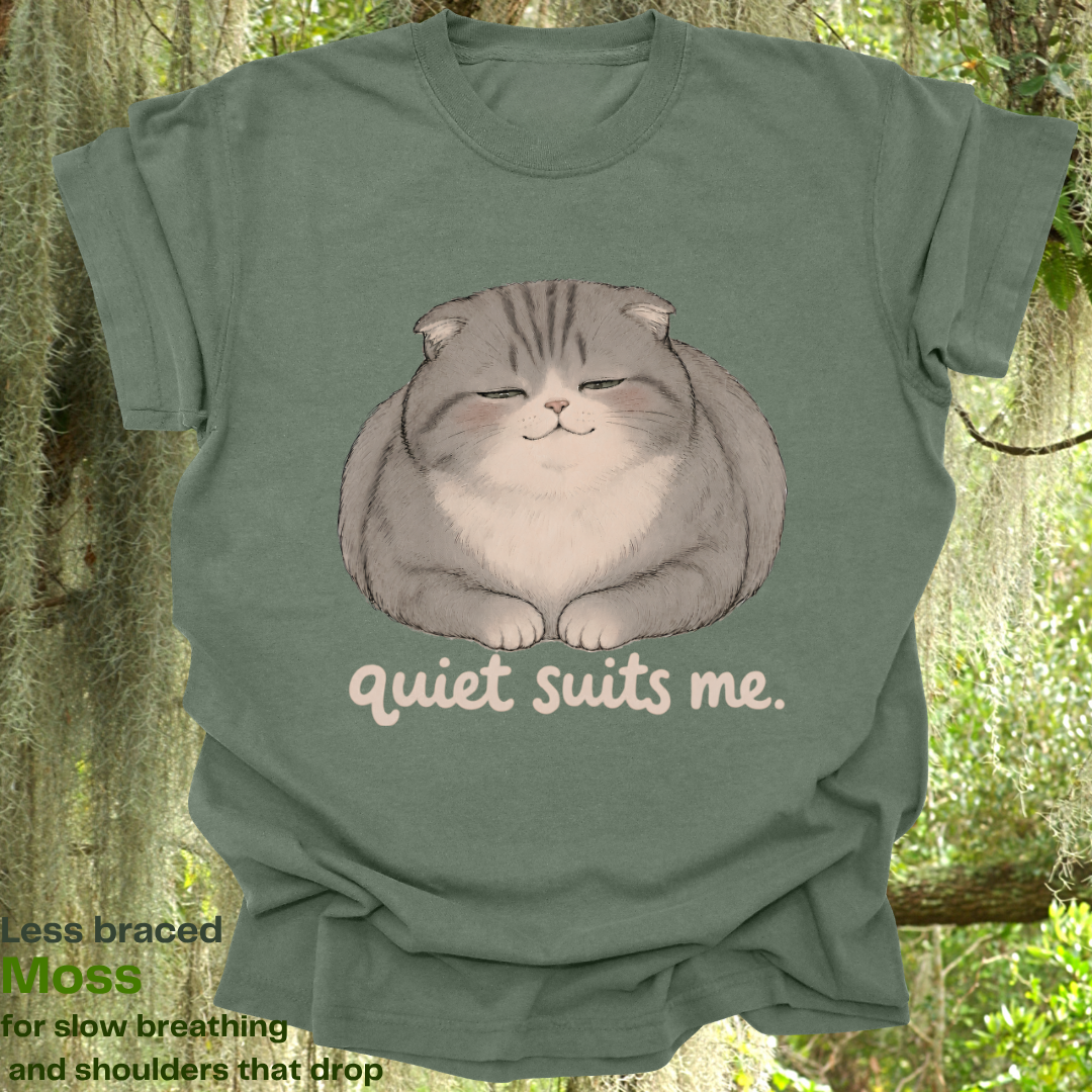 quiet suits me.