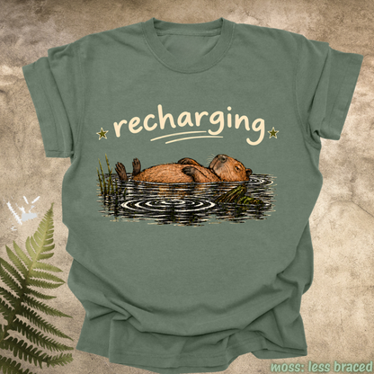 capybara recharging