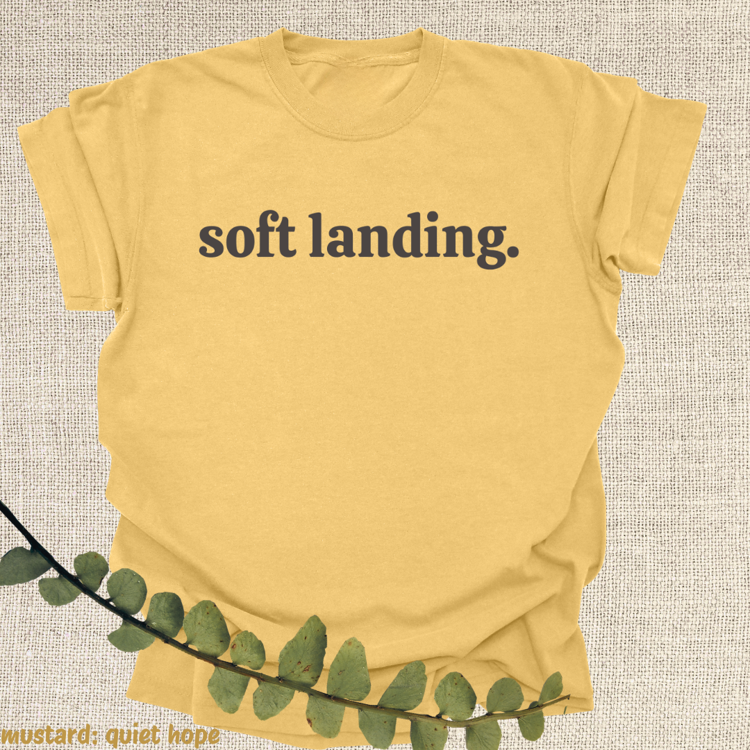 soft landing.