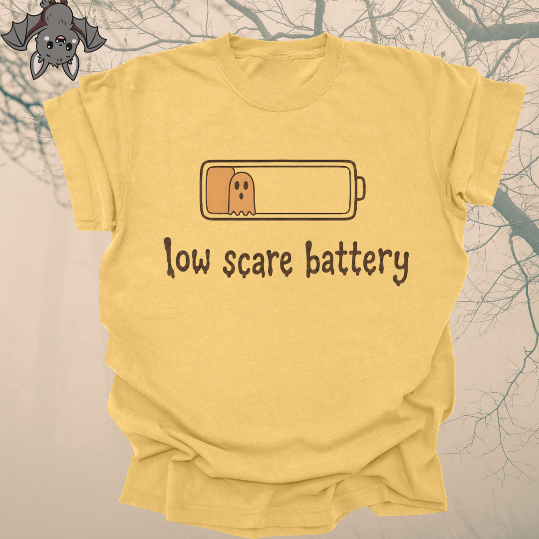 low scare battery.