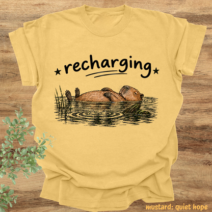 capybara recharging