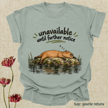 unavailable until further notice.