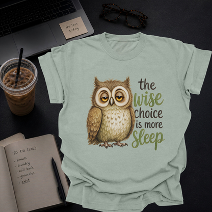 the wise choice is more sleep.