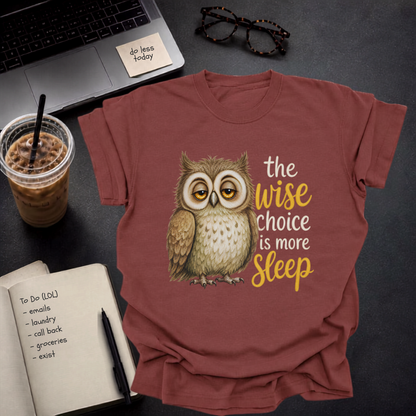 the wise choice is more sleep.