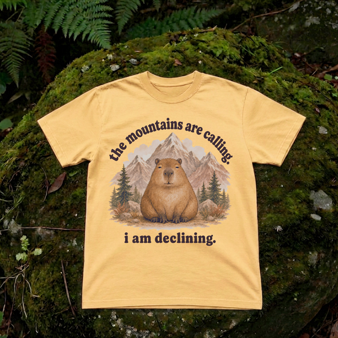 the mountains are calling. i am declining.