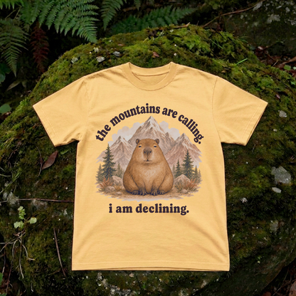 the mountains are calling. i am declining.